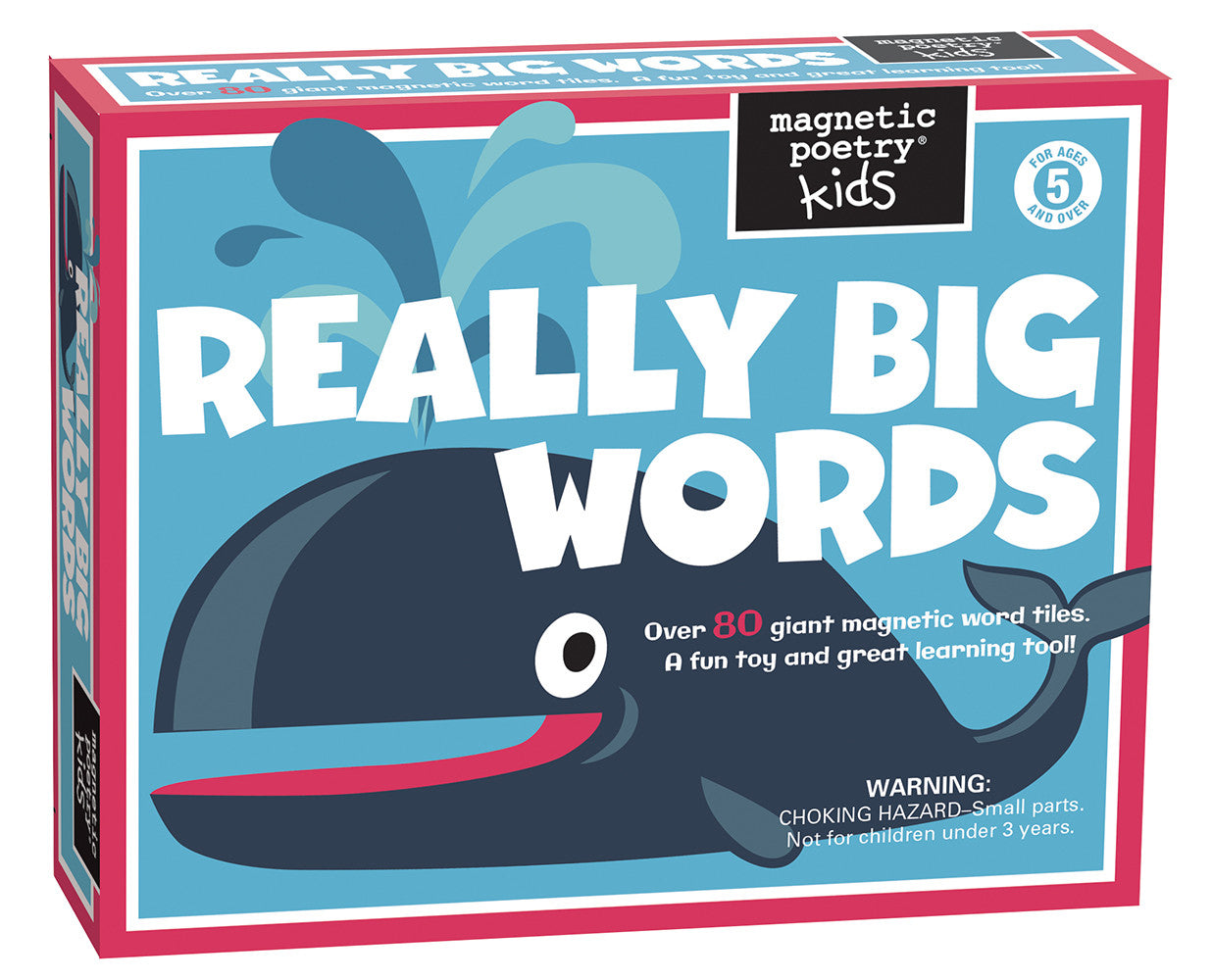 Kids Really Big Words Kit