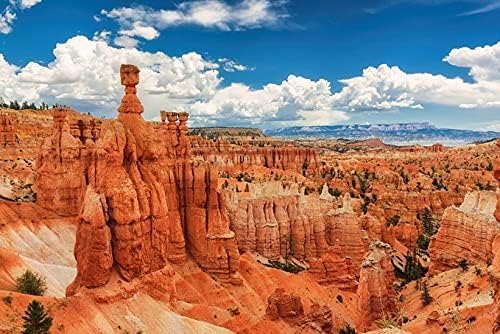 Generic Jigsaw Puzzle Incredible Bryce National Park Utah Puzzles for Adults 1000 Piece Wooden Puzzle Toy Puzzle Jigsaw Puzzles Family Games Party Games Intelligence Puzzle Game Gift for Women 29.5x19.7 Inch