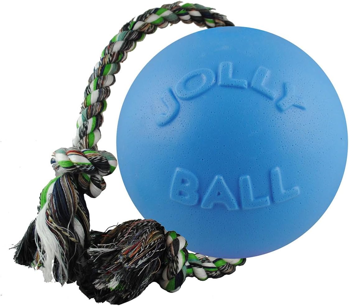 Jolly Pets Romp-n-Roll Rope and Ball Dog Toy, 6 Inches, Blueberry
