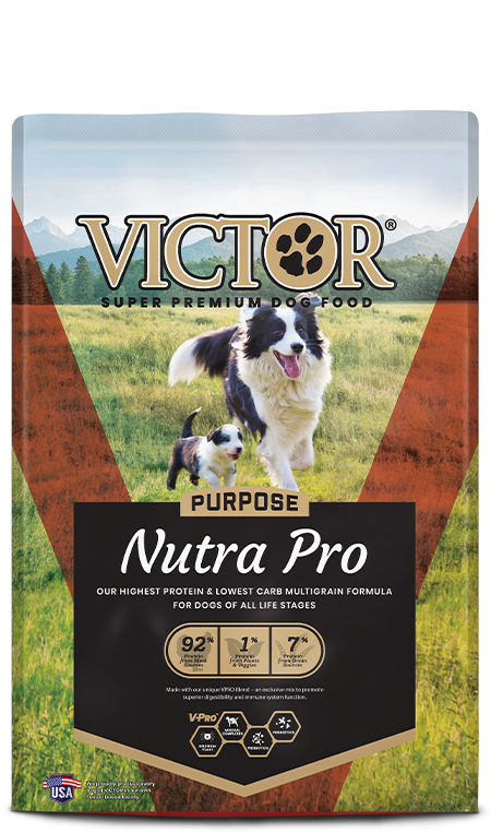 VICTOR Purpose Nutra Pro Dry Dog Food, 40 lb