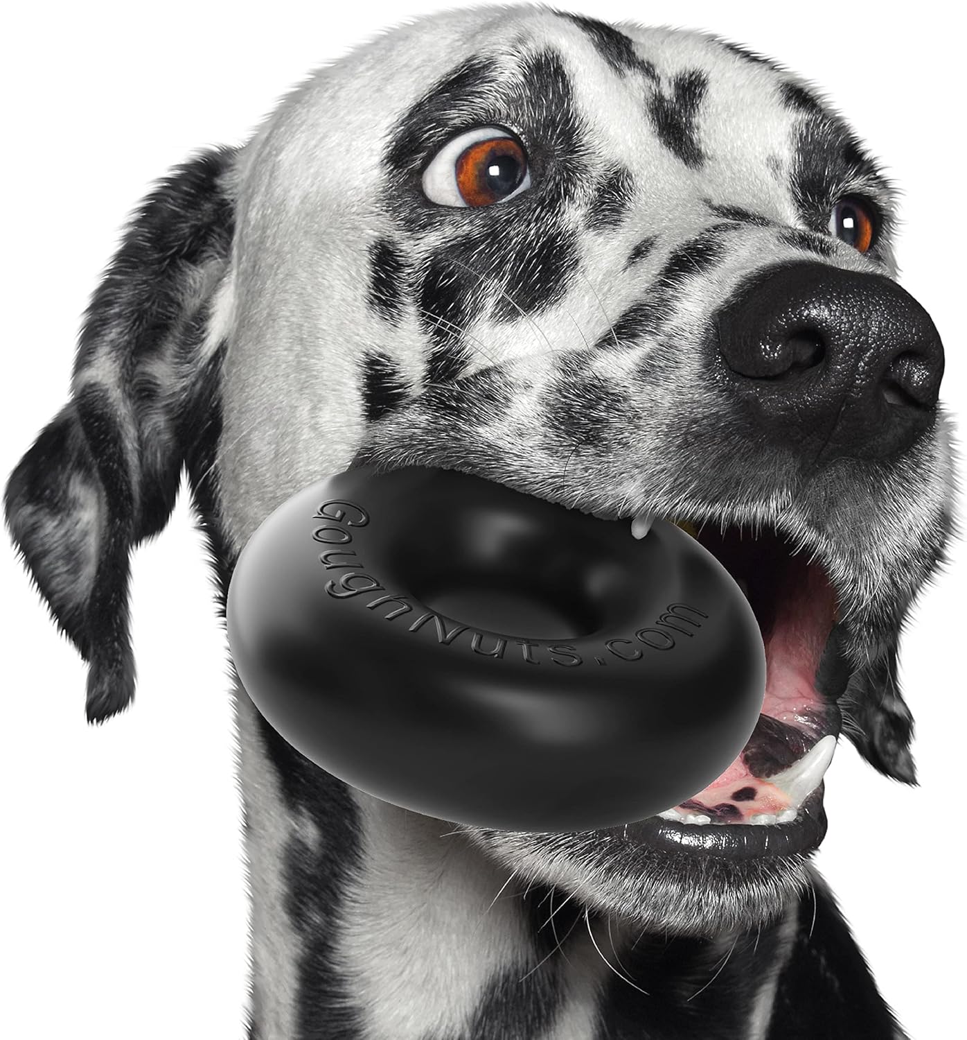 Goughnuts — Dog Toys for Aggressive Chewers