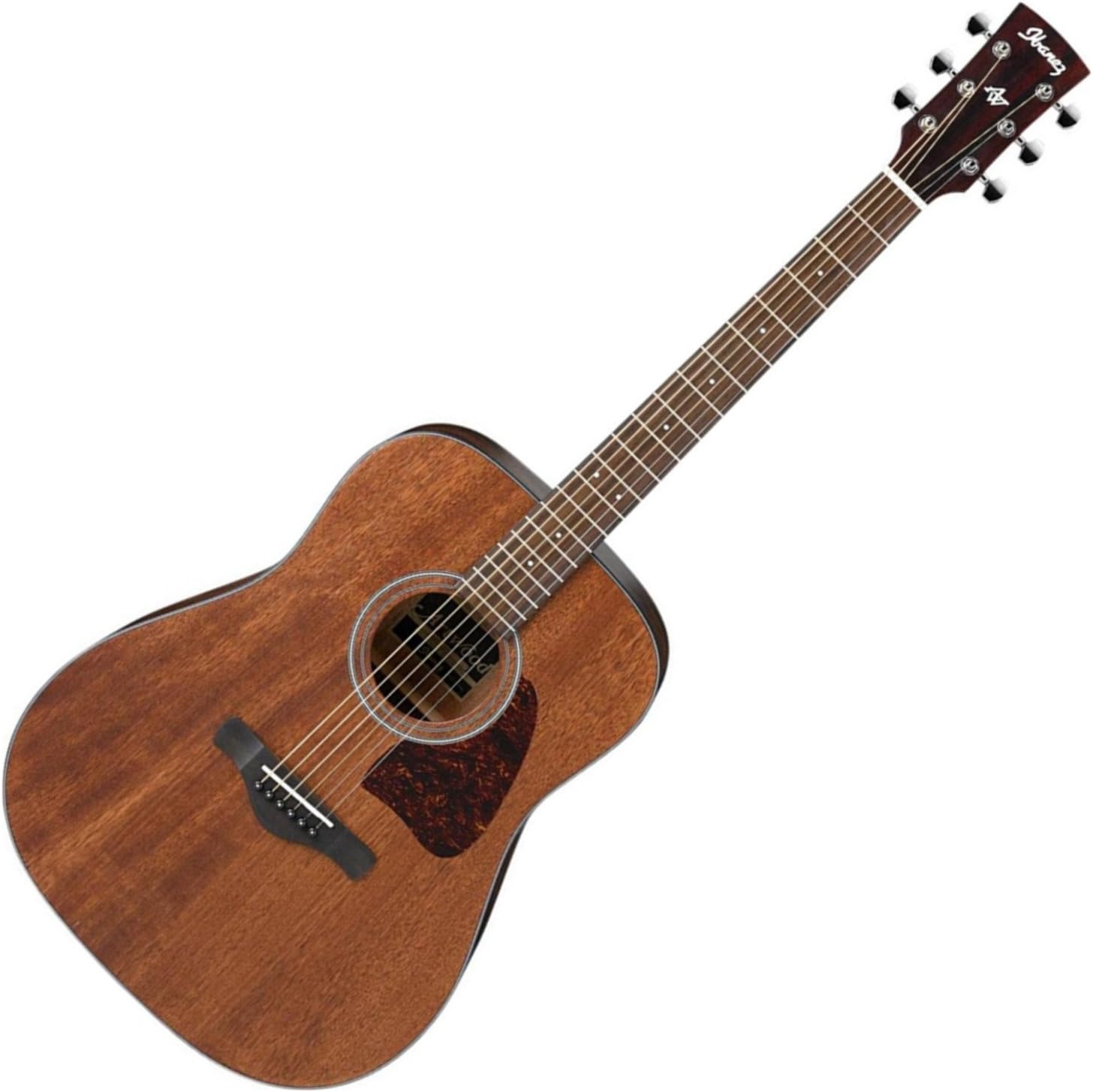 Ibanez Artwood Dreadnought Acoustic Guitar