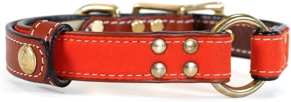 Upland & Downstream Brentwood Center Ring Collar - Premium Leather Dog Collar with Comfortable & Stylish Design for Everyday Use | Orange,MED-18