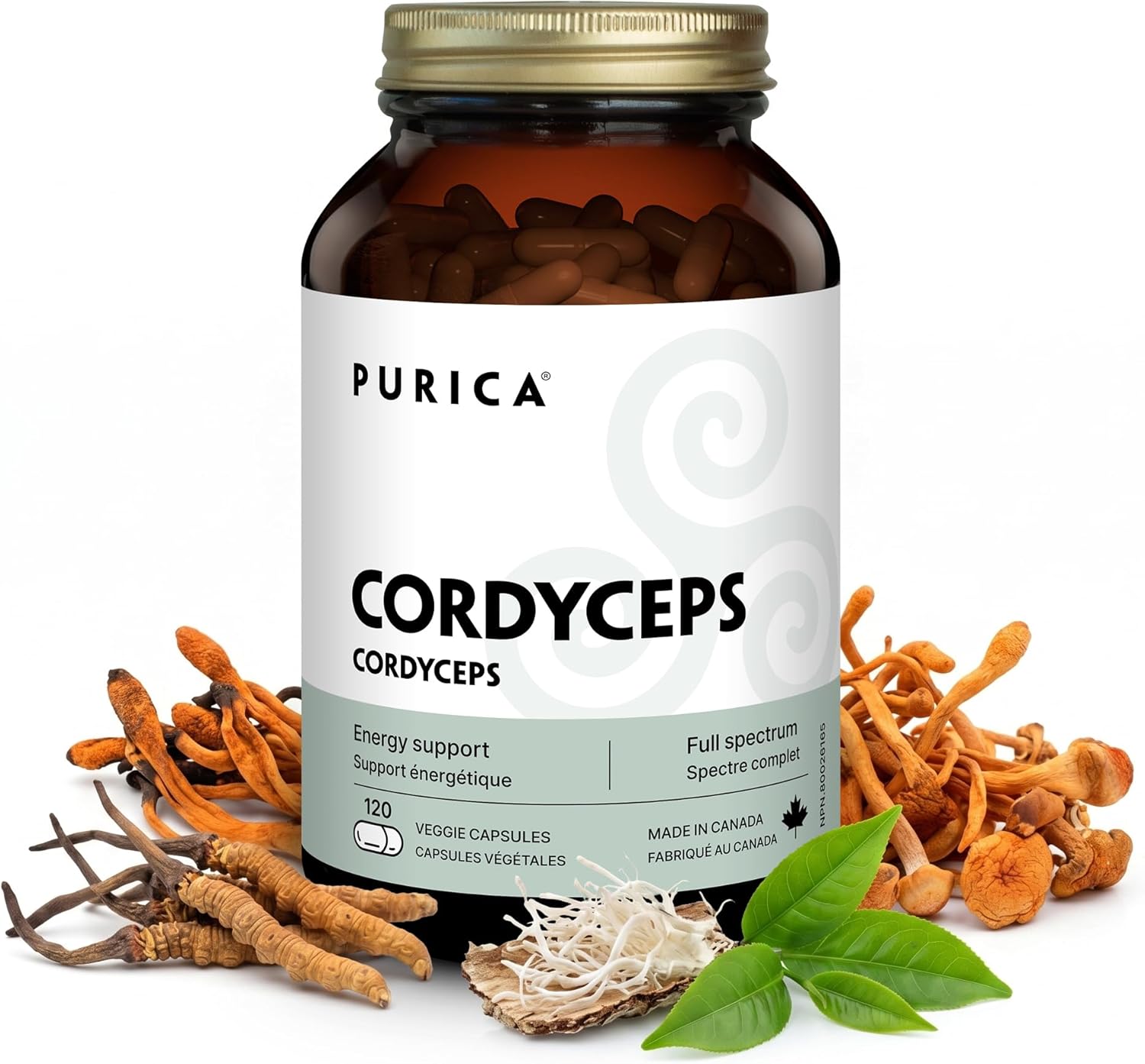 PURICA Cordyceps Mushroom Supplements 120 Vegan Caps 30-Day Supply, Supports Energy, Vitality, Respiratory Wellness, Kidney Care, Lung Strength, Soothing Comfort, Non-GMO, Gluten-Free & Easy to Digest
