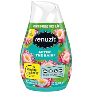 Renuzit Adjustables Air Freshener After The Rain (7 oz)