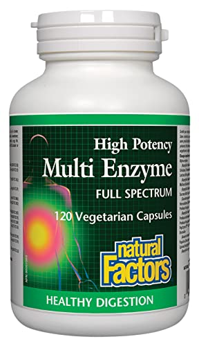 Natural Factors High Potency Multi Enzyme Vegetarian Formula