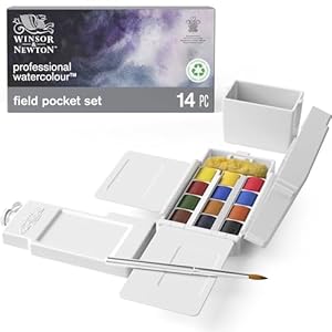 Winsor & Newton Professional Watercolor Paint Set, 12 Half Pan