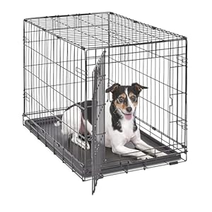 MidWest Homes for Pets 30-Inch iCrate Folding Dog Crate