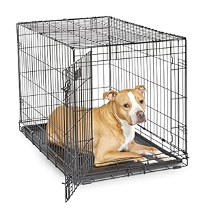 MidWest Homes for Pets 36-Inch iCrate Folding Dog Crate