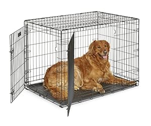 MidWest Homes for Pets 42-Inch Two-Door iCrate Folding Dog Crate