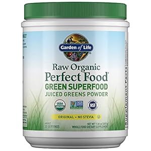Garden of Life Raw Organic Perfect Food Green Superfood (30 Servings)