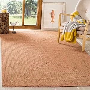 SAFAVIEH Braided Collection 8'x10' Multi Handmade Cotton Reversible Area Rug