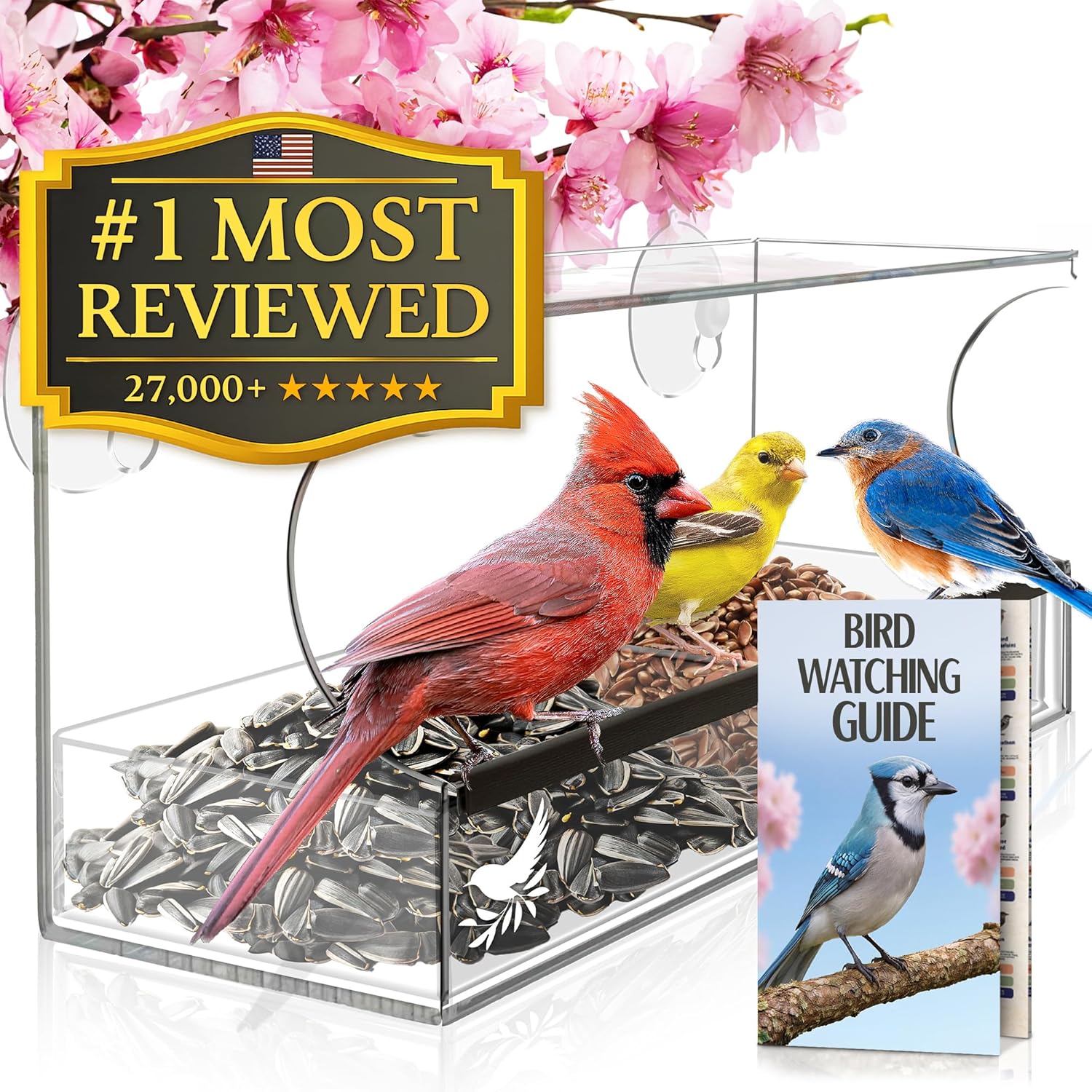 Window Bird Feeder by Nature's Hangout with Strong Suction Cups