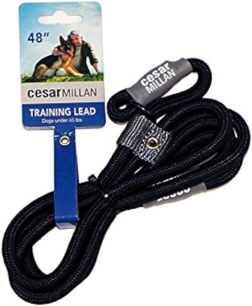 Cesar Millan Slip Lead Leash for Dogs — Regular, Black