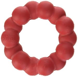KONG Ring Small/Medium Natural Rubber Ring Dog Toy