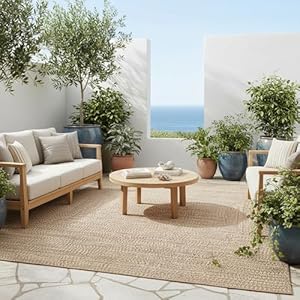 nuLOOM Wynn Solid Hand Braided Indoor/Outdoor Area Rug 2'x3' Tan