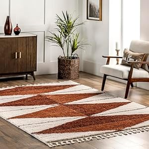 nuLOOM Kali Shaggy Diamond Tassel Area Rug 3x5, Rust/Ivory