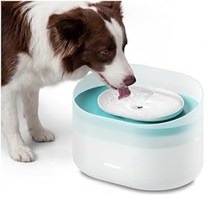 PETLIBRO Dog Water Fountain, 2.1Gal/8L Capsule Fountain for Medium to Large Dogs