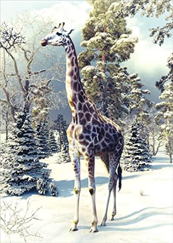 Northern Exposure Giraffe Walking : Snow Covered Trees Box of 12 Christmas Cards