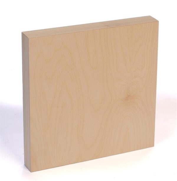 Economy Painting Panels