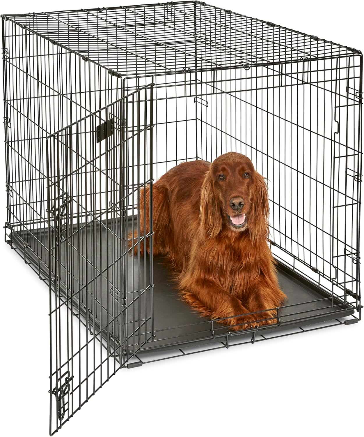 iCrate 42-Inch Single Door Folding Dog Crate