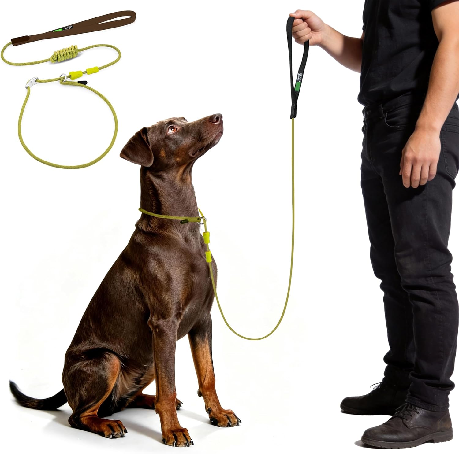 BeauGo Slip Leads for Dogs 6FT