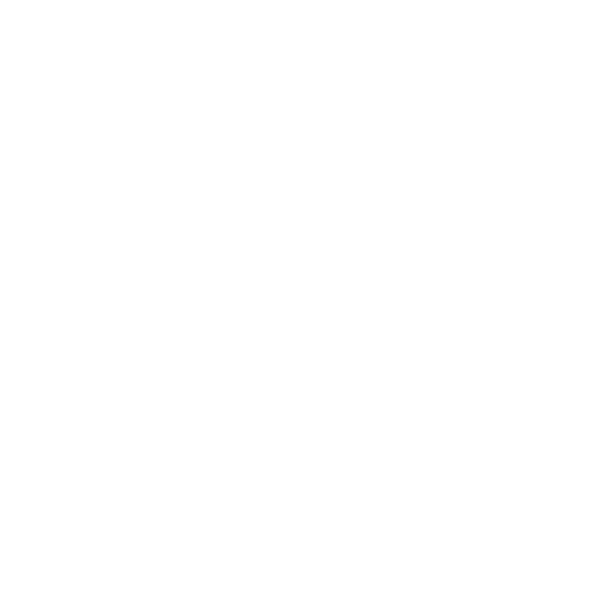 Ariat International